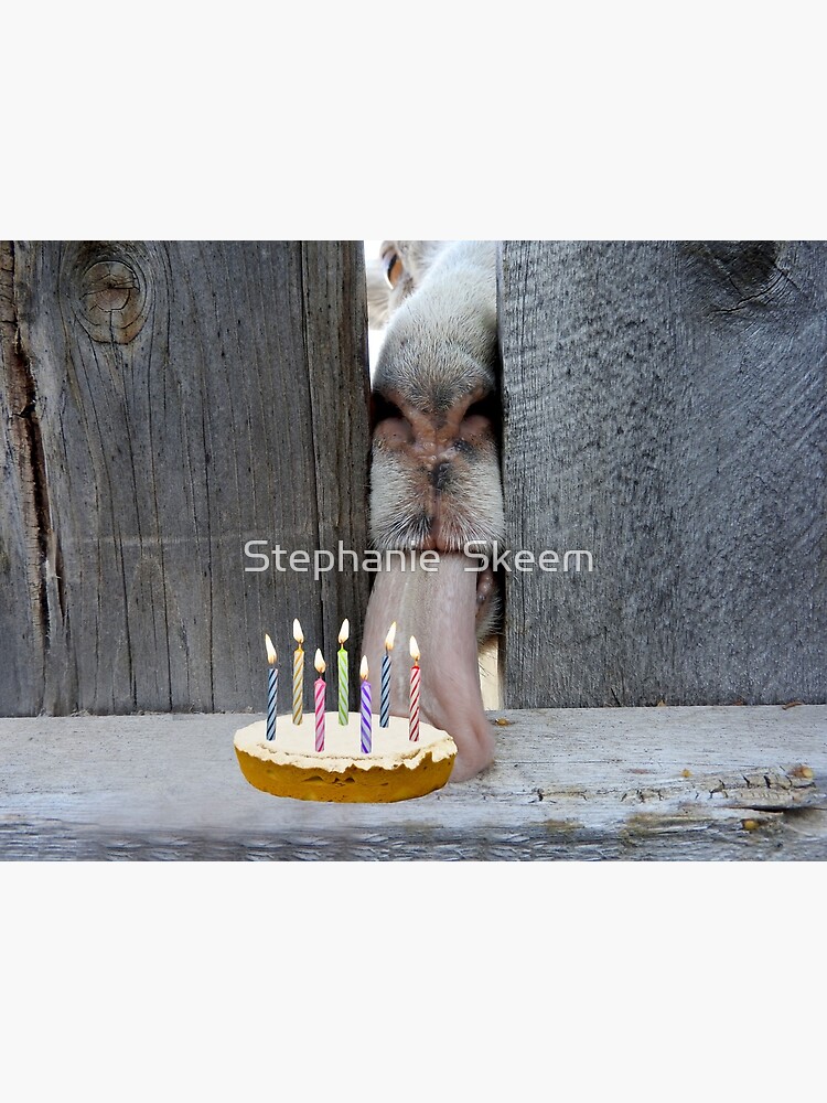 Acrylic Screaming Goat Cake Topper Party Decoration for Wedding Anniversary  Birthday Graduation - Walmart.com