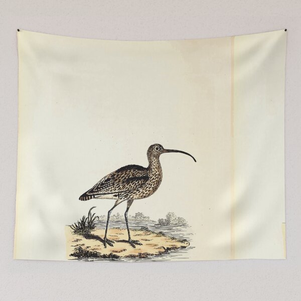 Item preview, British ornithology  being the history with a coloured representation of every known species of British birds George Graves 1821 031 designed and sold by WetdryvacRB01.