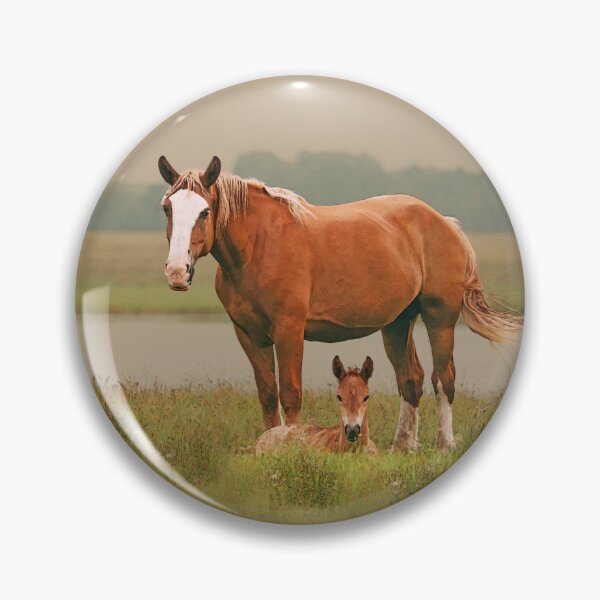 Artikelvorschau, Mutterschaft entworfen und verkauft von horseymj1.