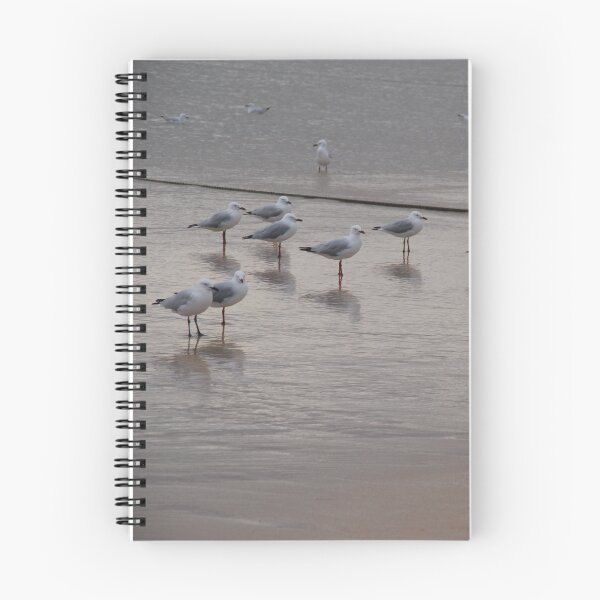 Item preview, Seagulls Waiting - Coral Bay, Exmouth Peninsular, WA designed and sold by Sandra Albin.
