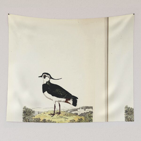 Item preview, British ornithology  being the history with a coloured representation of every known species of British birds George Graves 1821 033 designed and sold by WetdryvacRB01.