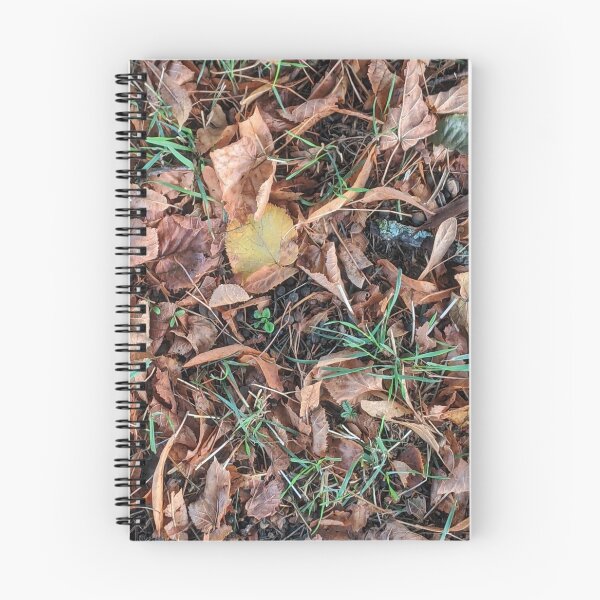 Artikelvorschau, Herbstlicher Boden entworfen und verkauft von naturalpatterns.