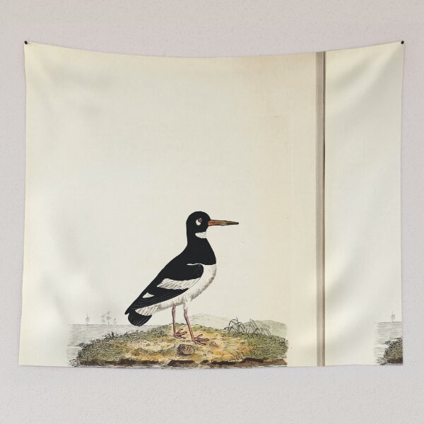 Item preview, British ornithology  being the history with a coloured representation of every known species of British birds George Graves 1821 034 designed and sold by WetdryvacRB01.