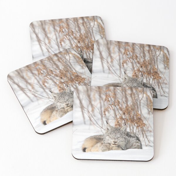 Item preview, Sleeping Canada Lynx designed and sold by mlorenz.