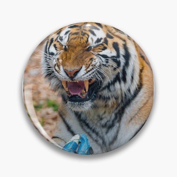 Artikelvorschau, Auge des Tigers entworfen und verkauft von jared williams.