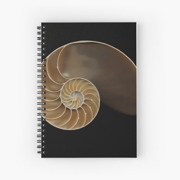 Nautilus Shell Spiral Notebooks Redbubble