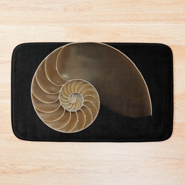 Item preview, Chambered nautilus shell designed and sold by Joe Saladino.