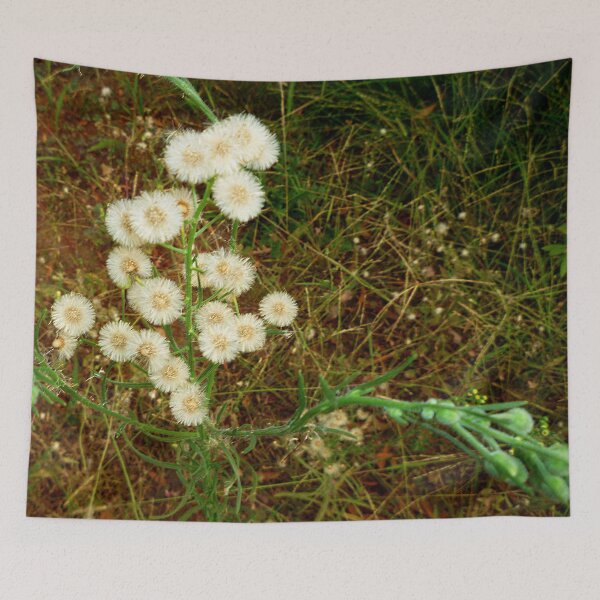 Item preview, 58408808 designed and sold by RealFlower.