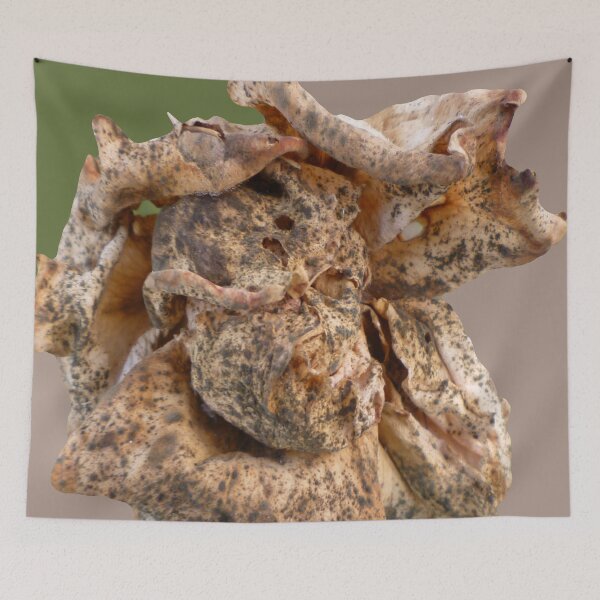 Item preview, 58408938 designed and sold by RealFlower.