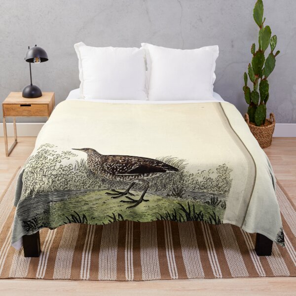 Item preview, British ornithology being the history with a coloured representation of every known species of British birds George Graves 1821 037 designed and sold by WetdryvacRB01.