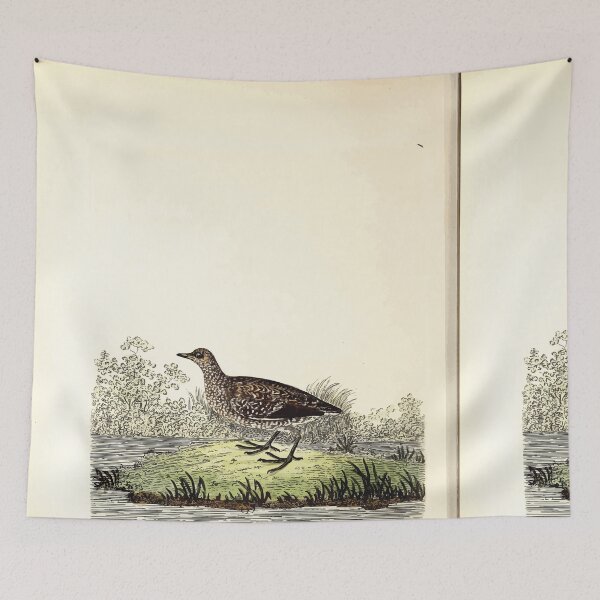 Item preview, British ornithology  being the history with a coloured representation of every known species of British birds George Graves 1821 037 designed and sold by WetdryvacRB01.