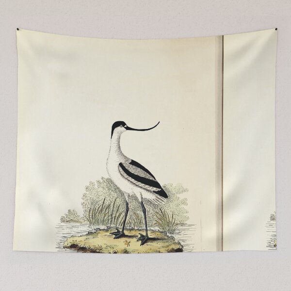 Item preview, British ornithology  being the history with a coloured representation of every known species of British birds George Graves 1821 038 designed and sold by WetdryvacRB01.