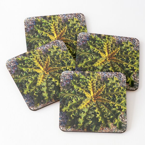 Item preview, Unique leafy plant designed and sold by To-the-T.