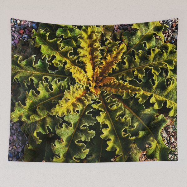 Item preview, Unique leafy plant designed and sold by To-the-T.