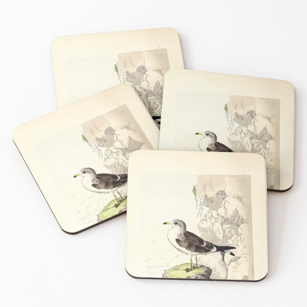 Item preview, British ornithology  being the history with a coloured representation of every known species of British birds George Graves 1821 039 designed and sold by WetdryvacRB01.