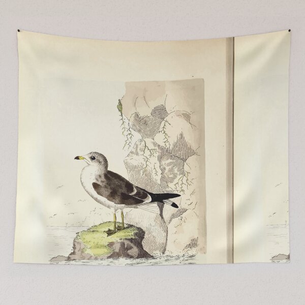 Item preview, British ornithology  being the history with a coloured representation of every known species of British birds George Graves 1821 039 designed and sold by WetdryvacRB01.