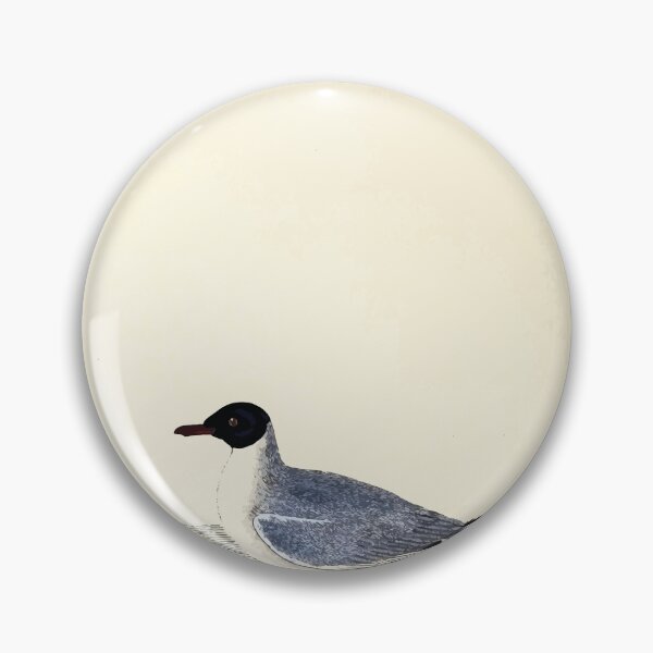Item preview, British ornithology  being the history with a coloured representation of every known species of British birds George Graves 1821 040 designed and sold by WetdryvacRB01.