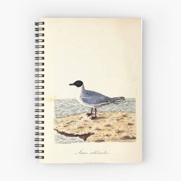 Item preview, British ornithology  being the history with a coloured representation of every known species of British birds George Graves 1821 040 designed and sold by WetdryvacRB01.