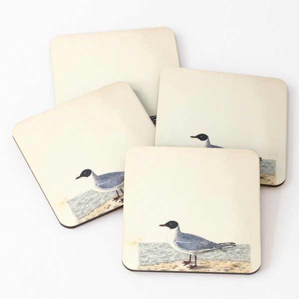 Item preview, British ornithology  being the history with a coloured representation of every known species of British birds George Graves 1821 040 designed and sold by WetdryvacRB01.