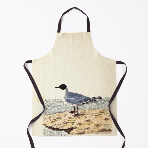 Item preview, British ornithology  being the history with a coloured representation of every known species of British birds George Graves 1821 040 designed and sold by WetdryvacRB01.