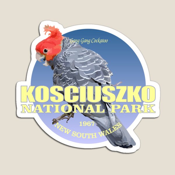 Item preview, Kosciuszko National Park (Gang Gang Cockatoo)(WT) designed and sold by curranmorgan.