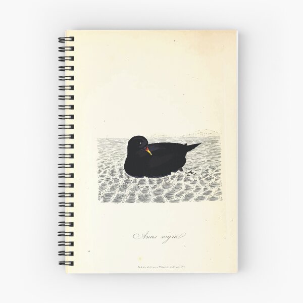 Item preview, British ornithology  being the history with a coloured representation of every known species of British birds George Graves 1821 041 designed and sold by WetdryvacRB01.
