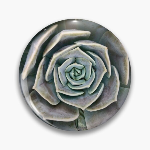 Item preview, Suculant designed and sold by M-A-L.