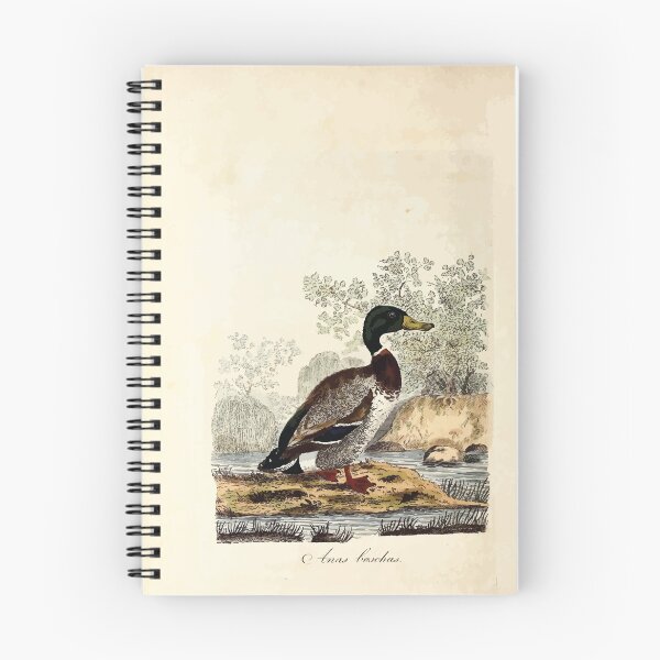 Item preview, British ornithology  being the history with a coloured representation of every known species of British birds George Graves 1821 042 designed and sold by WetdryvacRB01.