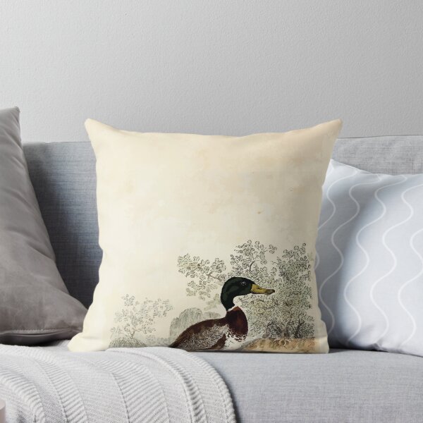 Item preview, British ornithology  being the history with a coloured representation of every known species of British birds George Graves 1821 042 designed and sold by WetdryvacRB01.