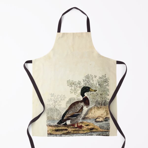 Item preview, British ornithology  being the history with a coloured representation of every known species of British birds George Graves 1821 042 designed and sold by WetdryvacRB01.
