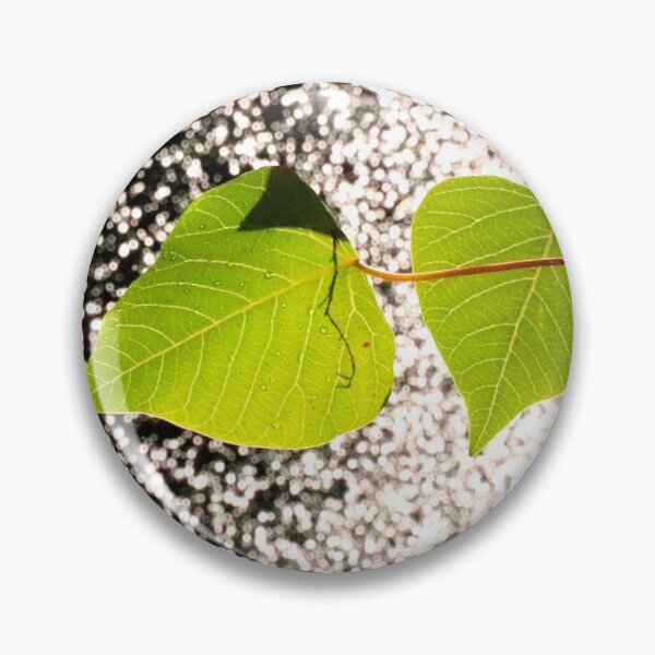 Item preview, Leaves by the Waterfall, Springbrook, Queensland designed and sold by Geoff Treagus.