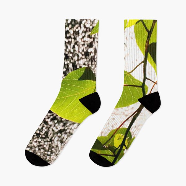 Item preview, Leaves by the Waterfall, Springbrook, Queensland designed and sold by Geoff Treagus.