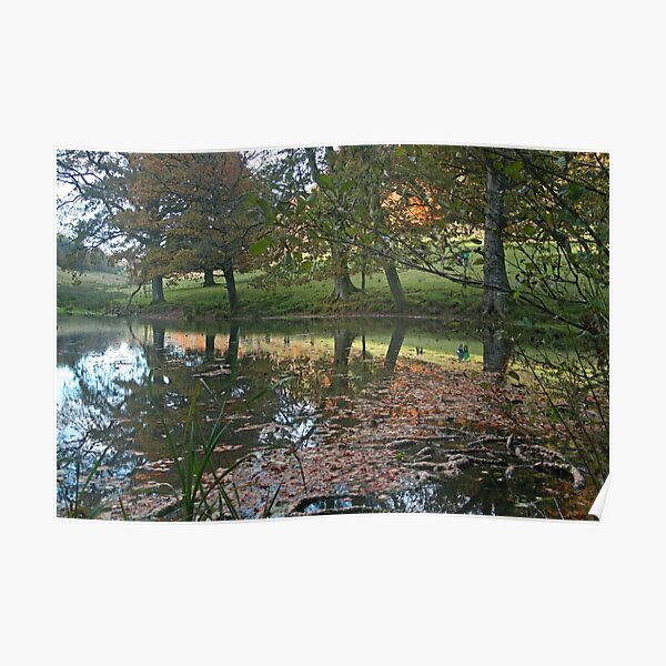 Autumn Reflections Poster