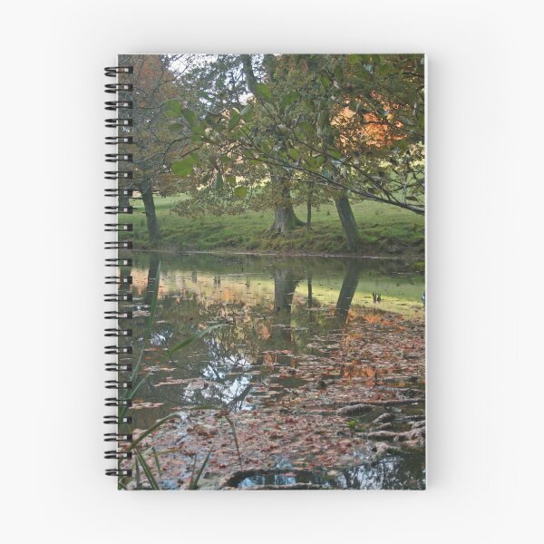 Item preview, Autumn Reflections designed and sold by RedHillDigital.