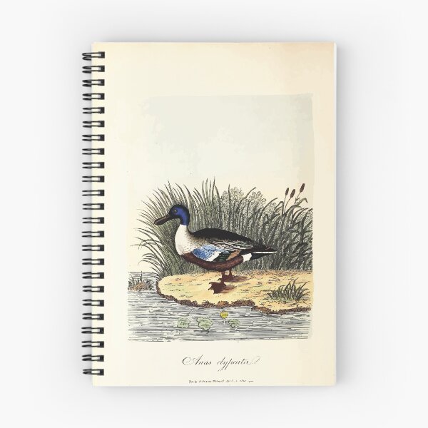 Item preview, British ornithology  being the history with a coloured representation of every known species of British birds George Graves 1821 044 designed and sold by WetdryvacRB01.