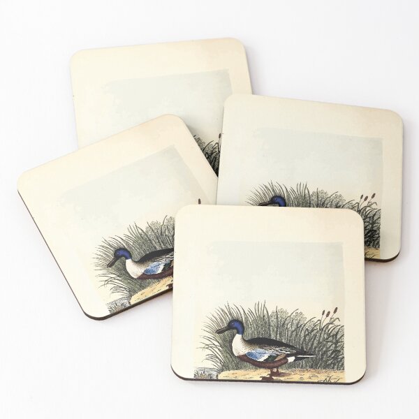 Item preview, British ornithology  being the history with a coloured representation of every known species of British birds George Graves 1821 044 designed and sold by WetdryvacRB01.