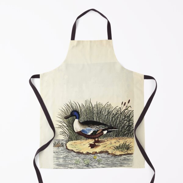 Item preview, British ornithology  being the history with a coloured representation of every known species of British birds George Graves 1821 044 designed and sold by WetdryvacRB01.