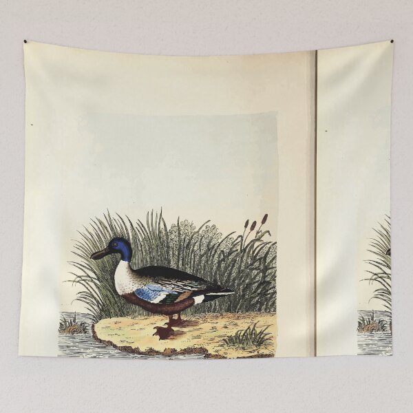 Item preview, British ornithology  being the history with a coloured representation of every known species of British birds George Graves 1821 044 designed and sold by WetdryvacRB01.