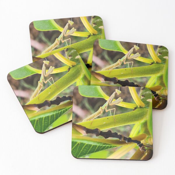 Item preview, Praying Mantis designed and sold by TheMadDabbler.