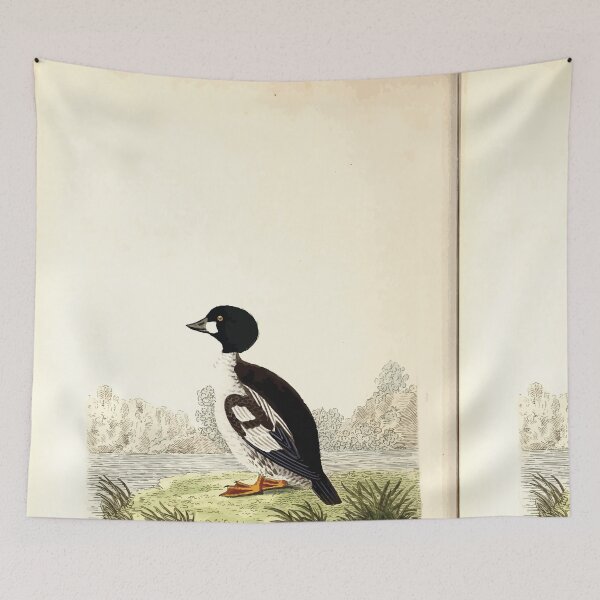 Item preview, British ornithology  being the history with a coloured representation of every known species of British birds George Graves 1821 045 designed and sold by WetdryvacRB01.