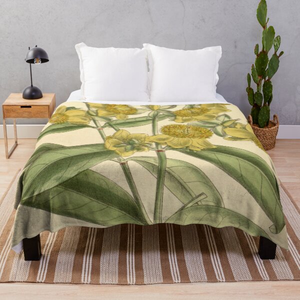 Item preview, Hypericum aureum 139 8498 designed and sold by EsotericBotanic.