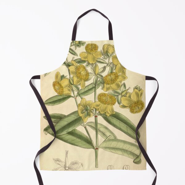Item preview, Hypericum aureum 139 8498 designed and sold by EsotericBotanic.