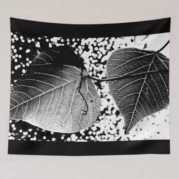 Item preview, Leaves by the Waterfall, Springbrook, detail in B&W designed and sold by Geoff Treagus.