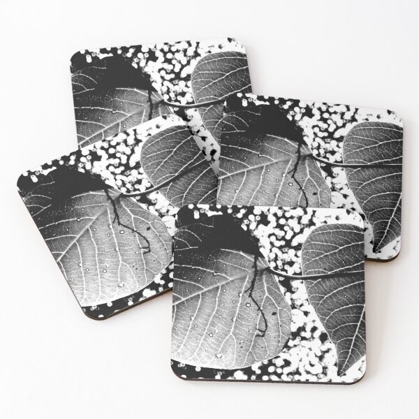 Item preview, Leaves by the Waterfall, Springbrook, detail in B&W designed and sold by Geoff Treagus.