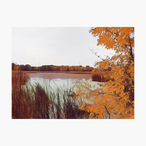 Item preview, Golden Autumn designed and sold by Kyle Madaus.