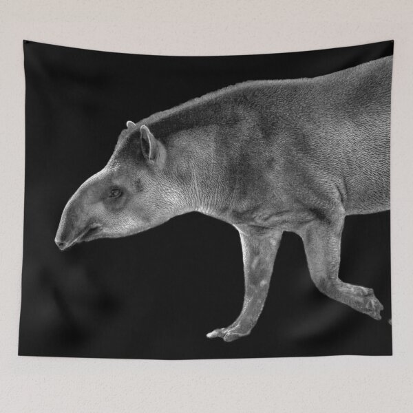 Item preview, Black & White Tapir designed and sold by Steven Jodoin.