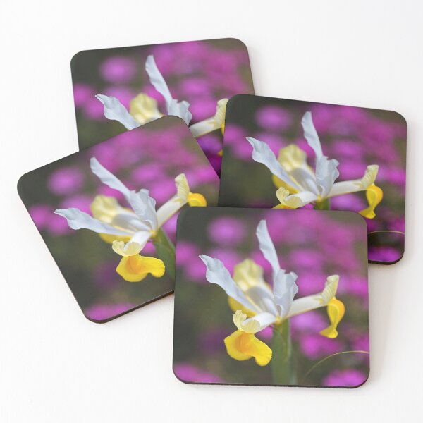 Item preview, Sun Dial Iris designed and sold by Joy Watson - Natural Light Photography .