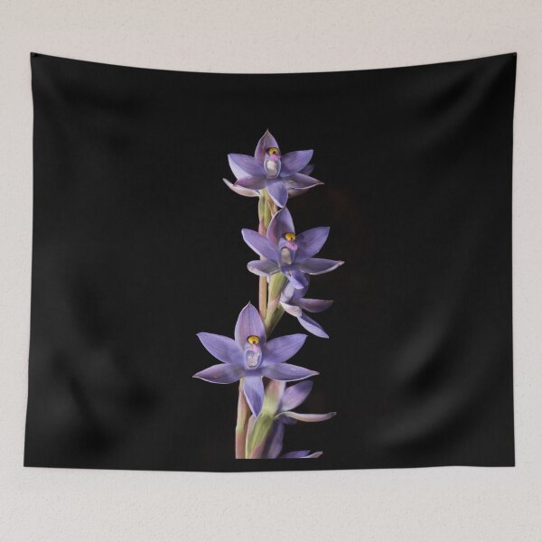 Item preview, Mauve Magic (Thelymitra malvina) designed and sold by AlienMind.