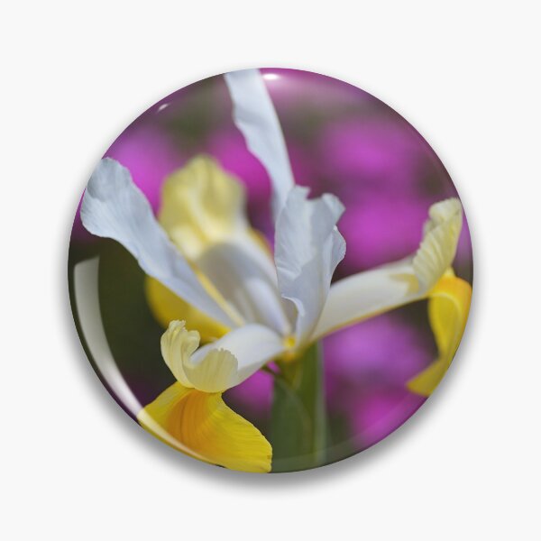 Item preview, Sun Dial Iris designed and sold by Joy Watson - Natural Light Photography .