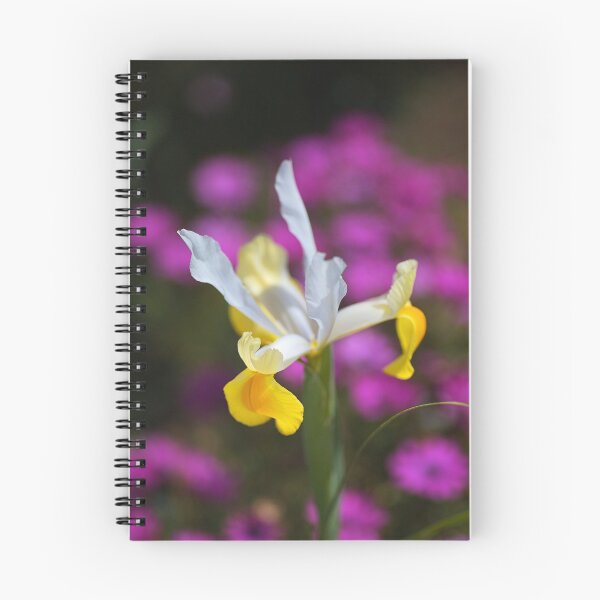 Item preview, Sun Dial Iris designed and sold by Joy Watson - Natural Light Photography .